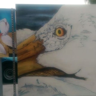 - box-wrap-image360-ftlauderdale-fl