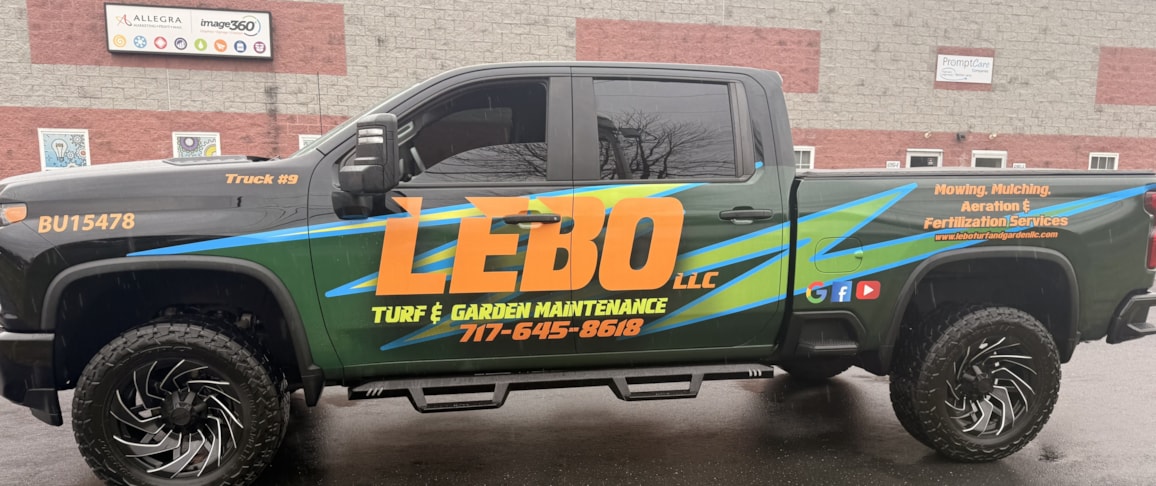 Vehicle Wraps