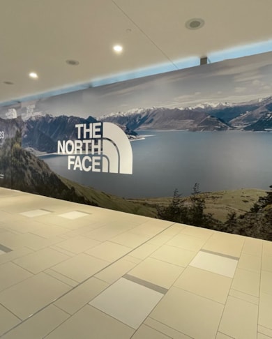 Wall Murals & Graphics