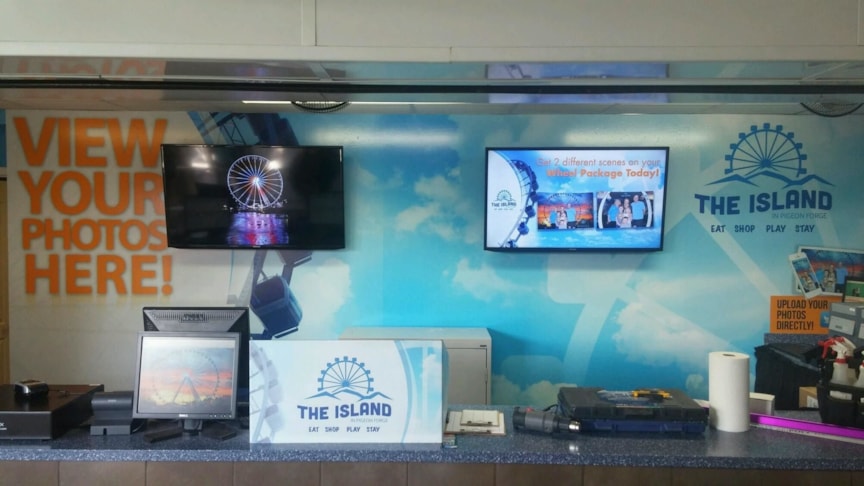 Wall Murals & Graphics