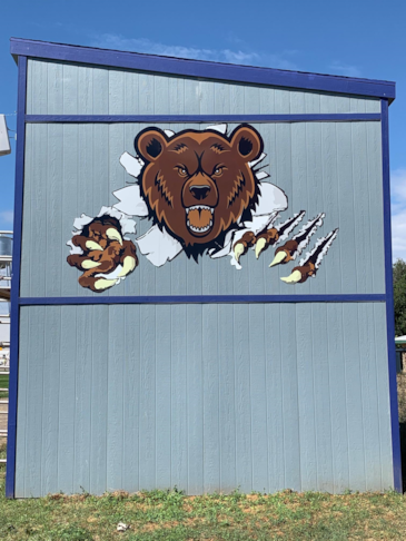 Wall Murals & Graphics