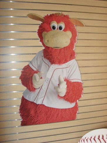 Custom Sign Printing Services