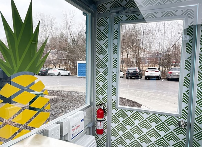 Wall Murals and Graphics