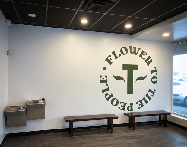 Interior Wall Vinyl Graphic for Terrapin in Belton, Missouri