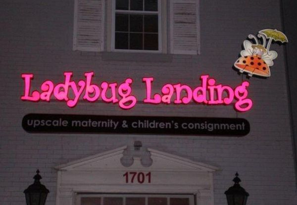  - Image360-Lexington-KY-Illuminated-Channel-Letters-Retail-Ladybug-Landing