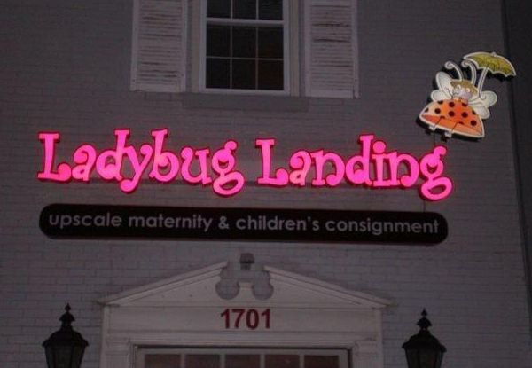  - Image360-Lexington-KY-Illuminated-Channel-Letters-Retail-Ladybug-Landing