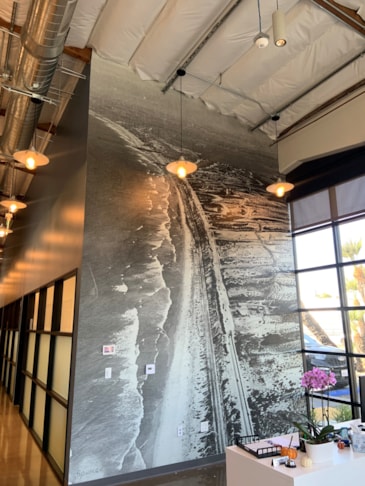 Reception Area Wall Wrap