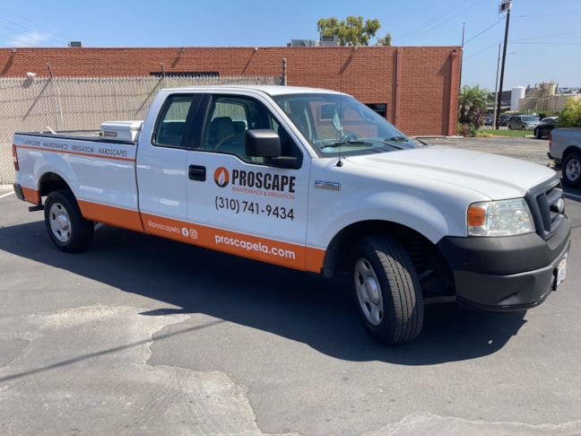 Vehicle Logo Graphics & Lettering