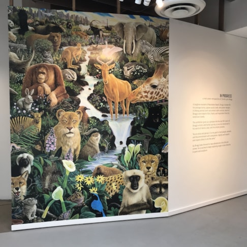 Wall Murals & Graphics