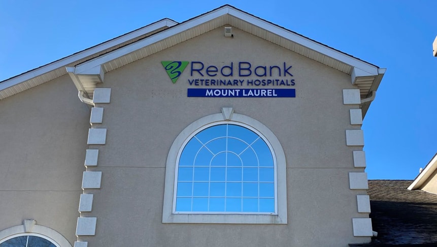 Cut acrylic mounted onto Red Bank Vets office location in Mt. Laurel.