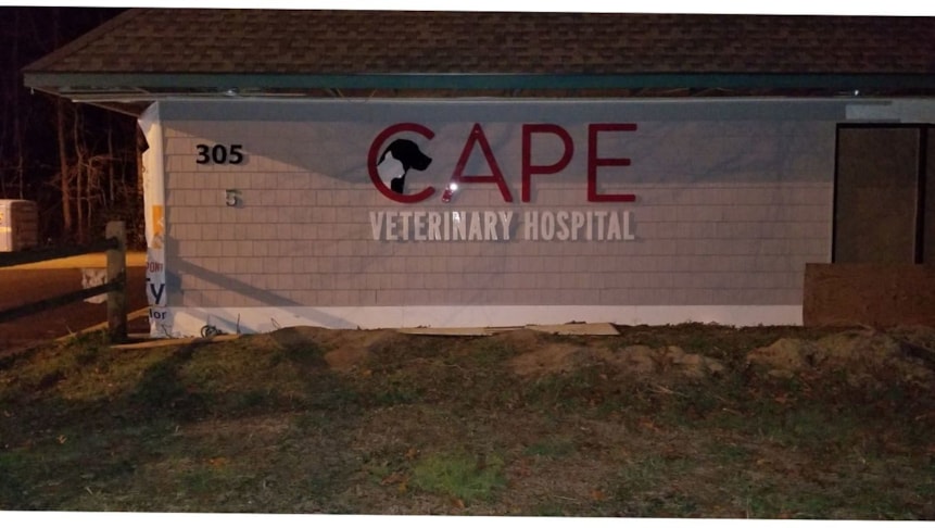 Exterior acrylic lettering for Cape Vets new office.