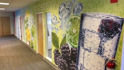 Wall Graphics & Murals