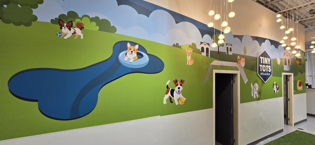 Wall Murals & Graphics
