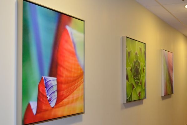  - Image360-Plymouth-CanvasArt&Signage-ProfessionalServices