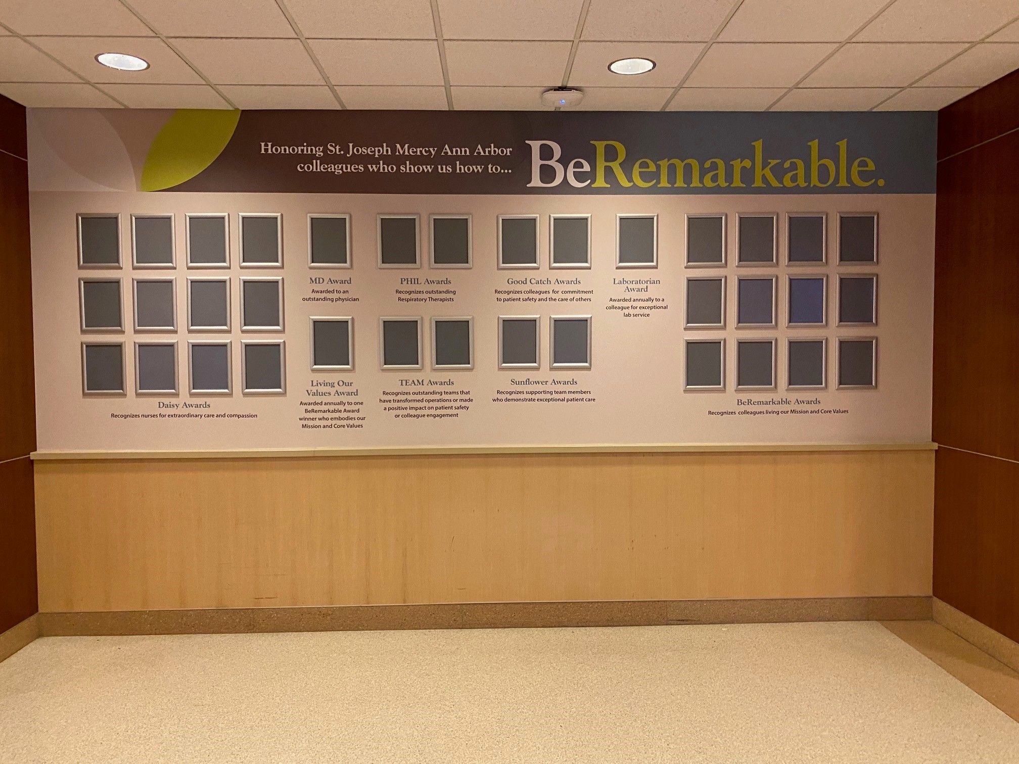 Custom Recognition Display