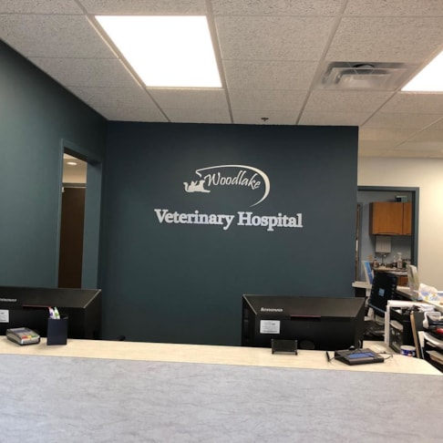 3D Signs & Dimensional Letters