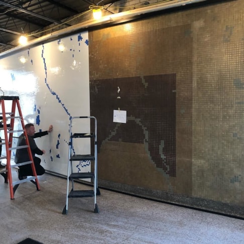 Wall Murals & Graphics