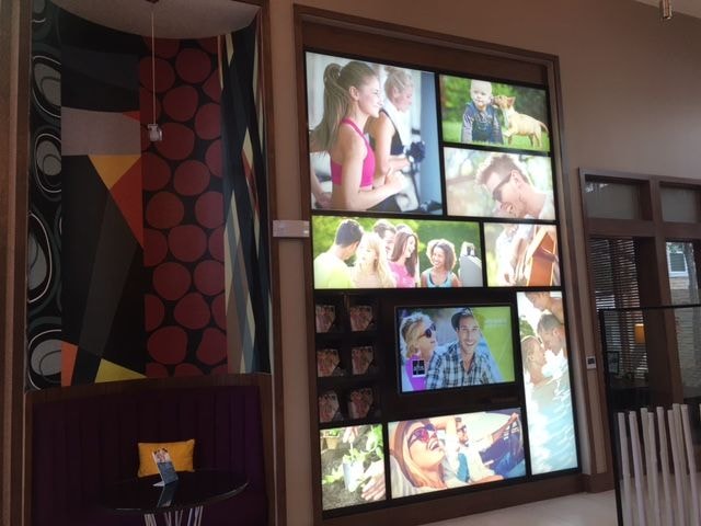 Wall Murals & Graphics