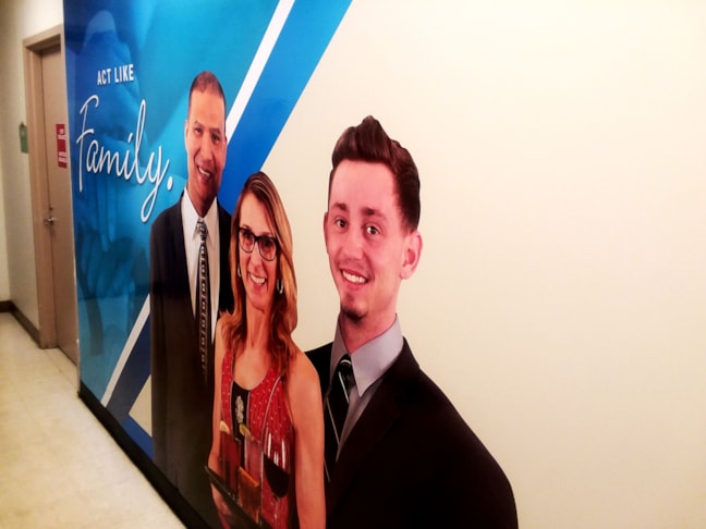 Wall Graphics & Murals