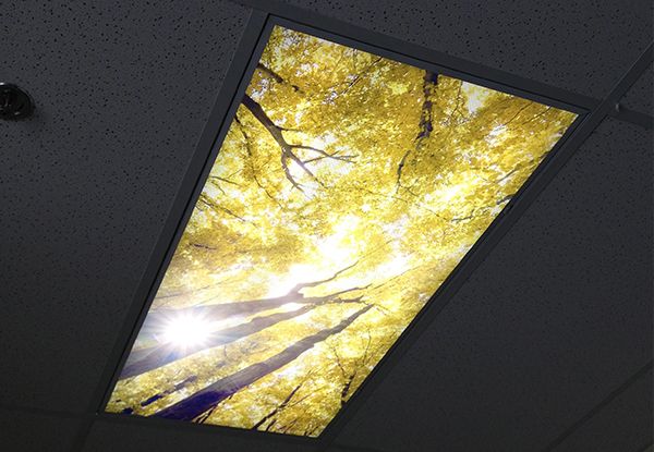  - Custom-Graphics-Ceiling-Graphics-Image360-St.Paul-MN