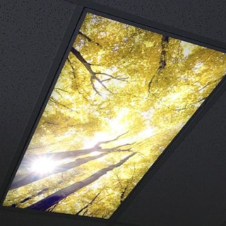 - Custom-Graphics-Ceiling-Graphics-Image360-St.Paul-MN