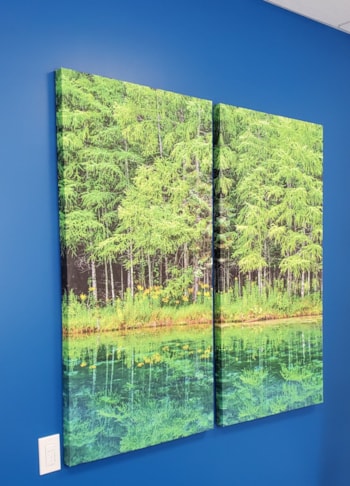 Canvas & Fabric Prints & Signage