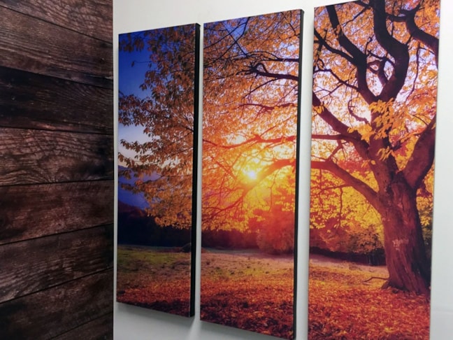 Canvas Prints & Fabric Prints in [city]