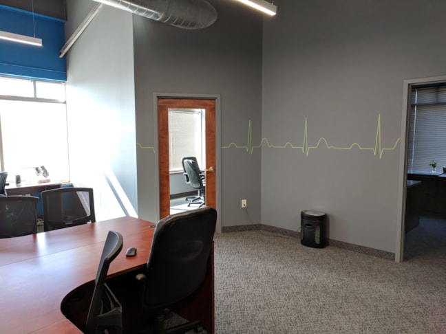 Wall Murals and Graphics