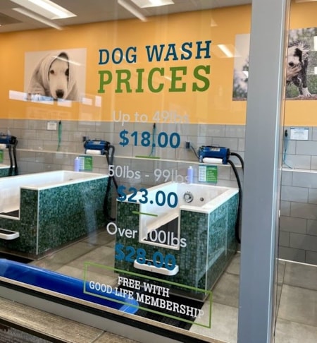 Window Decals, Signage & Graphics