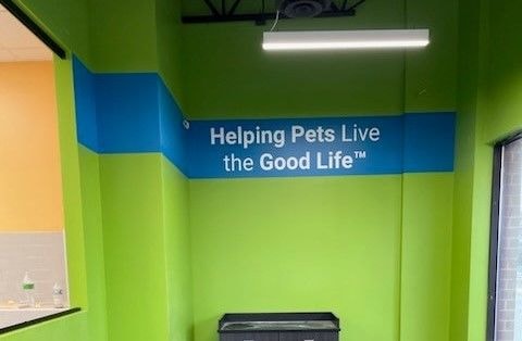 Wall Murals & Graphics