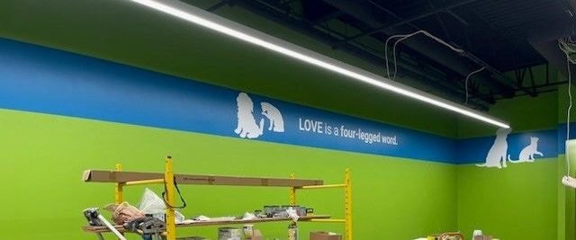 Wall Murals & Graphics