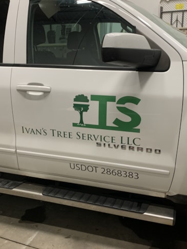 Vehicle Graphics & Lettering