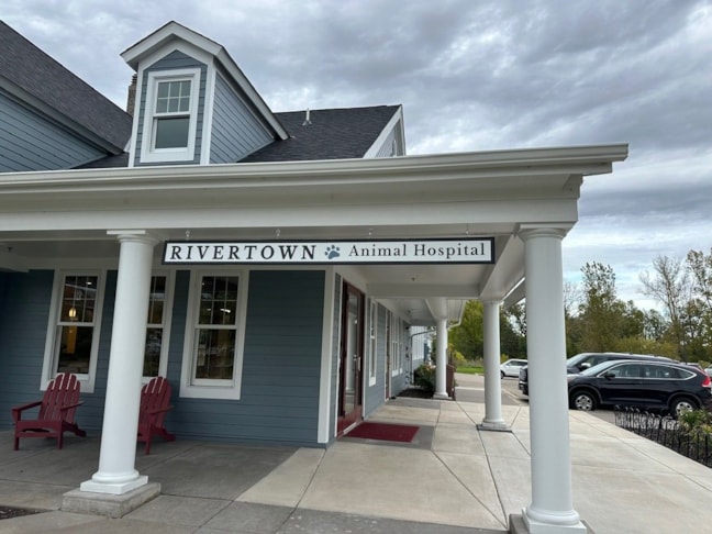 Hanging Signs & Ceiling Displays