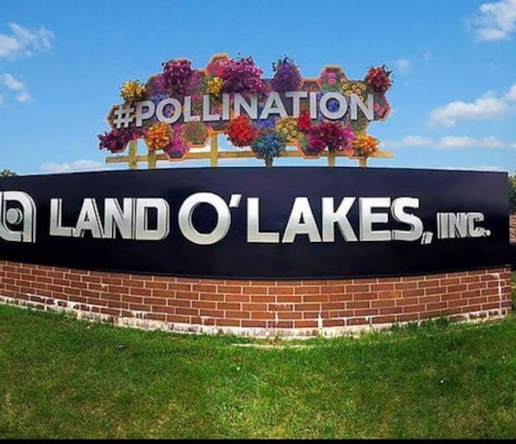 3D Signs & Dimensional Letters