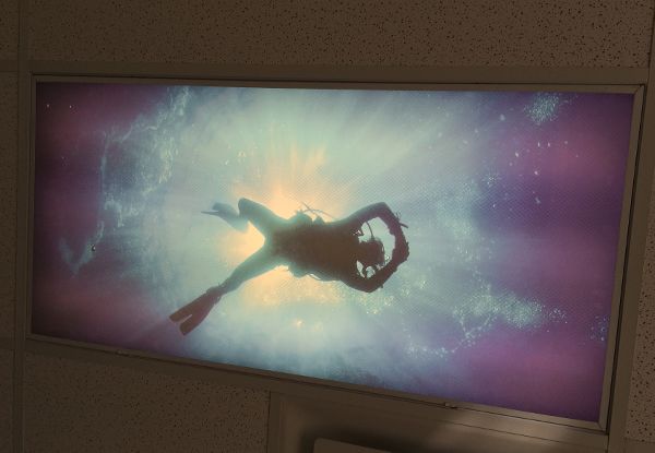  - Custom Ceiling Graphics - Image360 - Woodbury