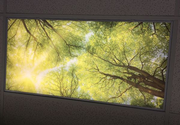  - Custom Ceiling Graphics - Image360 - Woodbury