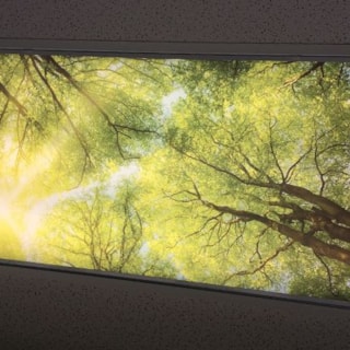 - Custom Ceiling Graphics - Image360 - Woodbury