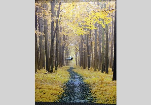  - Custom Wall Mural - Image360 - Woodbury 