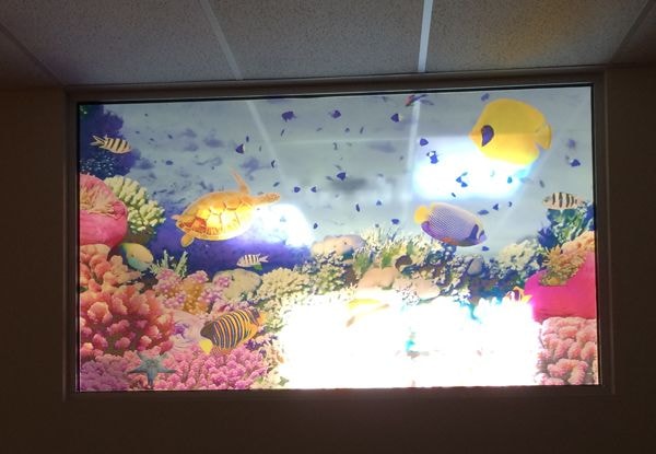  - Custom Window Graphics - Image360 - Woodbury