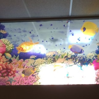 - Custom Window Graphics - Image360 - Woodbury