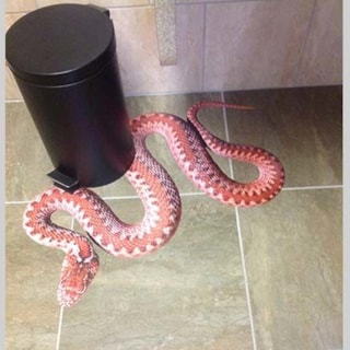 - Image360-Woodbury-FloorGraphics-Entertainment