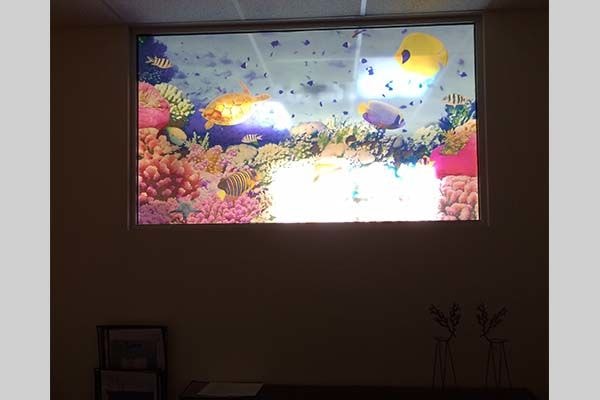  - Image360-Woodbury-WindowGraphics-Entertainment