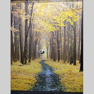 - Image360-Woodbury-WallMurals&WallPaper-Entertainment