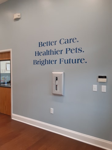 Wall Graphics, Murals, & Custom Wallpaper