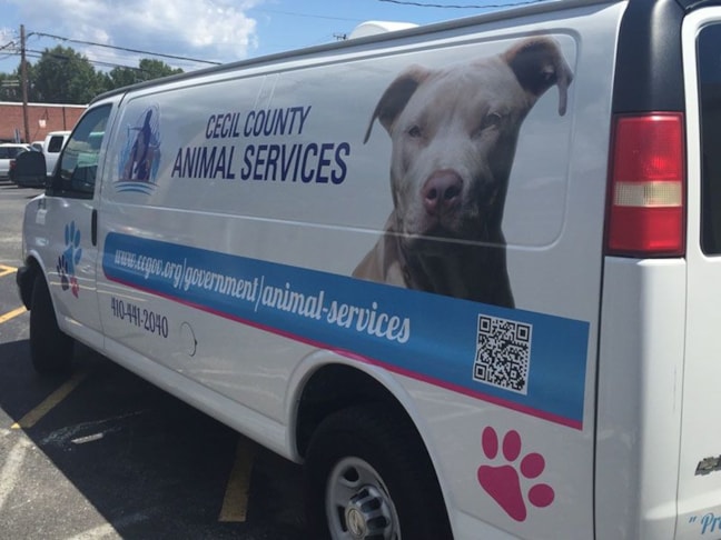 Vehicle Graphics & Lettering in [city]