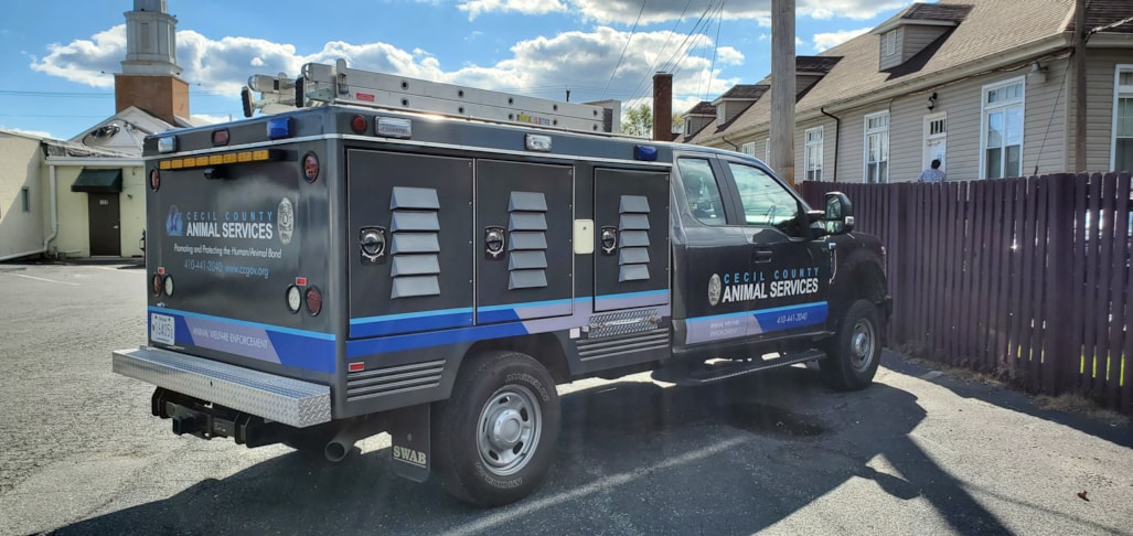 Vehicle Decals & Lettering