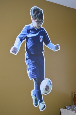 Wall Murals and Graphics