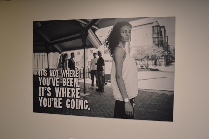 Wall Murals and Graphics