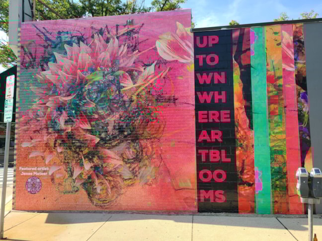 Wall Murals & Graphics