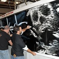 Wall Murals and Graphics